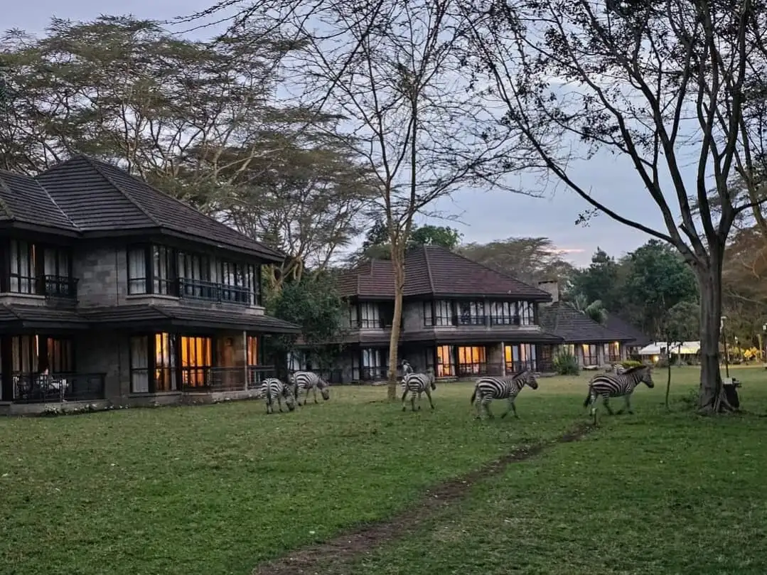 Lake Naivasha Simba Lodge